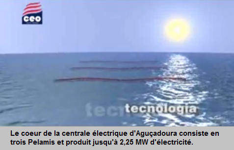 Le
                            cur de la centrale lectrique d'Aguadoura
                            consiste en trois Pelamis et produit jusqu'
                            2,25 MW d'lectricit