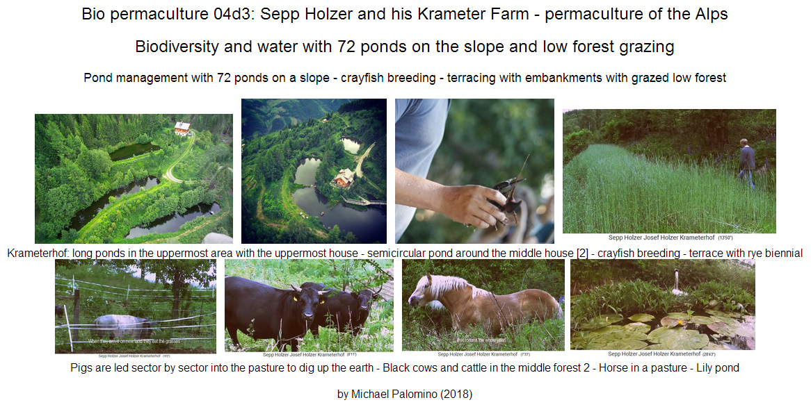 Austria:
                            Permaculture pioneer Sepp Holzer and his
                            Krameter Farm with 72 ponds and lakes on the
                            slope