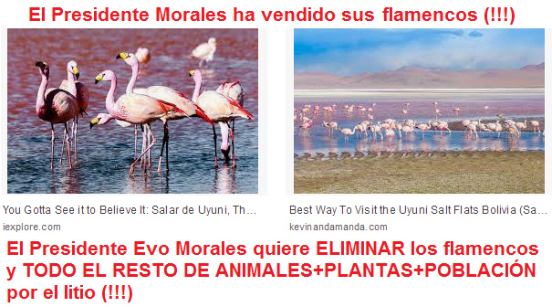 En 2018 en Berln, Evo Morales ha
                vendido todos sus flamencos y toda la flora y fauna del
                salar de Uyuni en Bolivia