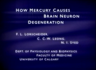 Film ber
                              Quecksilberwirkung an Nerven 02: Titel
                              "How mercury causes brain neuron
                              degeneration", von F.L. Lorscheider,
                              C.C.-W. Leong und N.Y. Syed, von der
                              Abteilung Physiologie und Biophysiologie
                              der Medizinischen Fakultt der Universitt
                              Calgary