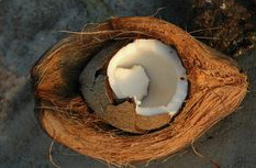 Kokosnuss aufgeschnitten