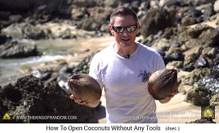 Wir sehen originale Kokosnsse auf Hawaii