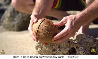 Die Kokosnuss spaltet sich mit einer schnurgeraden Linie