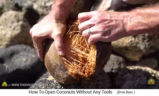 The outer shell of the coconut can now be opened or torn apart