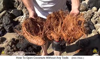 you can reuse the coconut fibers - the coconut without hair