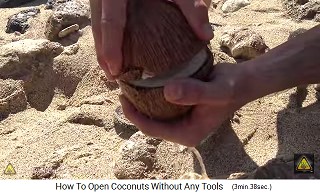Now one can gently open the coconut