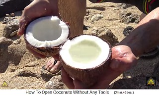 So one gets 2 equal halves of the coconut, one filled with coconut water, the other without