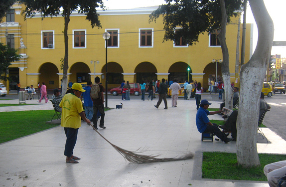 Palm frond as a street brush, Ica, Peru