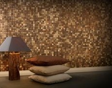 Tiled wall of coconut tiles