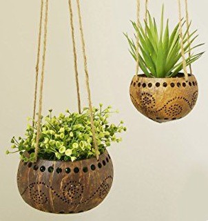 Polished coconut shells become hanging flowerpots