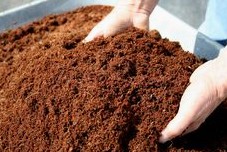 Earthworms earth and coconut fiber for horticulture 01