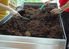 Earthworms earth and coconut fiber for horticulture 02