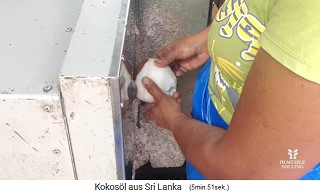The pulp (copra) is peeled by hand with a knife on a buffer 03 with peeling machine