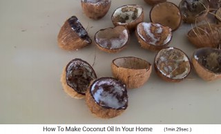 The 24 half coconut shells are now without pulp