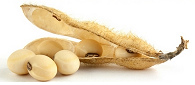 soybeans with bean husk