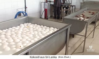 The big bath with pulp / coconut meat
                    (copra)