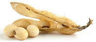 soybeans with bean
                husk