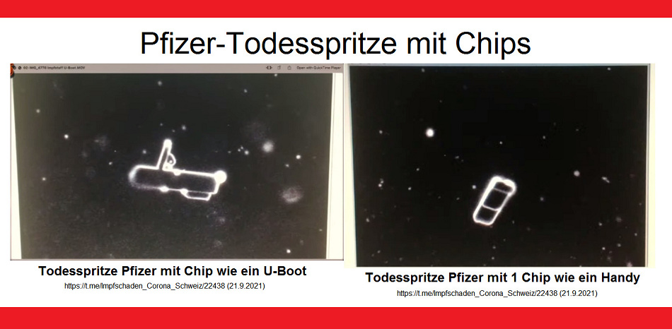 Tödliche Pfizer-Impfung mit Chips drin - Sicht
                  unter dem Mikroskop 600fache Vergrösserung