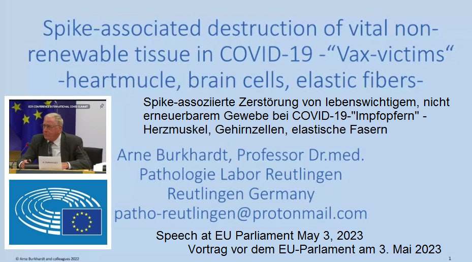 Foto 1:
                    Portrt von Dr. Arne Burkhardt und Vortrag vor dem
                    EU-Parlament in Grssel am 3.5.2023
                    Spike-assoziierte Zerstrung von lebenswichtigem,
                    nicht erneuerbarem Gewebe bei
                    COVID-19-"Impfopfern" - Herzmuskel,
                    Gehirnzellen, elastische Fasern