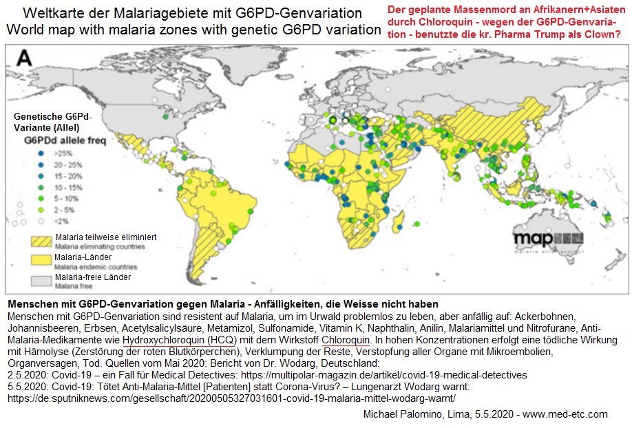 Weltkarte mit den Malaria-Gebieten mit
                            Malaria-Zonen-Menschen mit der genetischen
                            Malaria-Resistenz G6PD Favismus