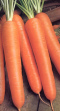 mucha vitamina A, p.e. en zanahorias