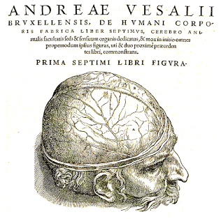 Andreas
                Vesalius, libro "De Humani Corporis"