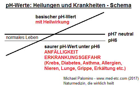 Das
                                Schema mit den pH-Werten: sauer unter
                                pH6 (Anflligkeit und
                                Erkrankungsgefahr), zwischen pH6 und pH7
                                fr das normale Leben, der neutrale
                                pH-Wert pH7, und der basisch-heilende
                                pH-Wert ber pH7 zwischen pH7 und pH8