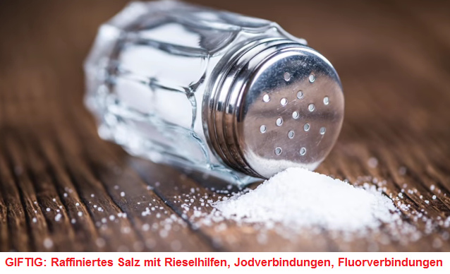 Giftiges, raffiniertes Salz aus dem Salzstreuer mit Rieselhilfen, Jodverbindungen und Fluorverbindungen