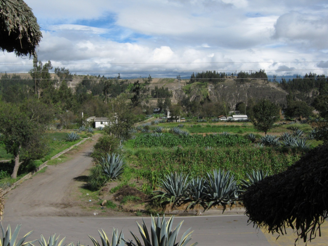 Kleinfeldlandwirtschaft mit Mischkultur ohne
                  Pestizide: Ein Feld, hier z.B. in Salasaca in Ecuador:
                  Jeder Boden hat je nach Tongehalt oder Untergrund
                  einen eigenen pH-Wert