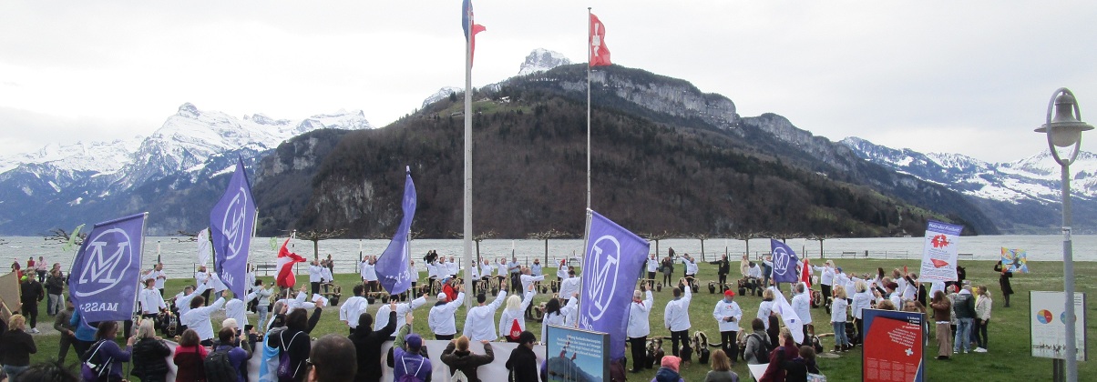 Demo auf der Seewiese 01: Rtlischwur Zoom