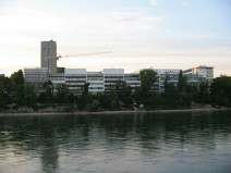 Basel, Sicht vom St.
                                        Alban-Rheinweg auf die
                                        Pharma-Giftfabrik Roche