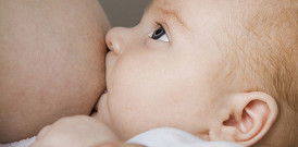 Die
                Muttermilch beim Stillen [6] enthlt einige Monate lang
                Antikrper, bis das Baby sein Immunsystem aufgebaut hat,
                vorausgesetzt, die Mutter hat die normalen
                Kinderkrankheiten "durchgemacht" und besitzt
                die Antikrper!