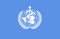 Die Flagge der
                            "Weltgesundheitsorganisation"
                            (WHO) in Genf