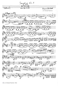 Schubert: sonatina for violin and
                              piano No.1, first part (Allegro molto),
                              violin tutti part (page 1)