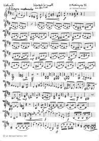 Rieding: Violinkonzert h-moll,
                                    erster Satz (Allegro moderato),
                                    Geigenbegleitung (Seite 1)