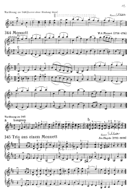 Page 18: Ein Menuett von Wolfgang
                            Amadeus Mozart mit Doppelgriffen, sowie ein
                            Trio aus einem Menuett von Joseph Haydn,
                            jeweils mit einer Vorbung von Schloder