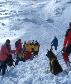 Nach
                          einer Schneebrettlawine bei Les Diablerets vom
                          26.11.2008 wurde tagelang ein Snowboarder auf
                          dem fraglichen 1 km langen und 60 m breiten
                          Gebiet gesucht... [9]