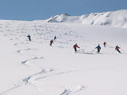 Wegen solcher Wellenlinien im Tiefschnee
                          riskieren viele Vollidioten-Skifahrer ihr
                          Leben [23]