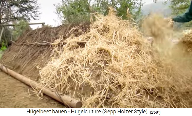 Hügelbeet-Workshop mit Sepp Holzer in
                    Österreich 19: Zum Schutz und nochmaligen
                    Nährstoffanreicherung wird Strohmull gelegt