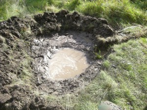 Teich im schweren Lehmboden: halb voll