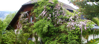 Krameterhof von Sepp Holzer in Österreich