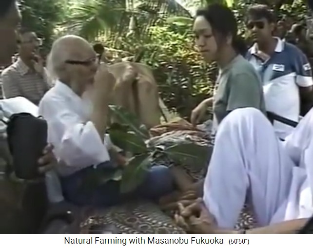 Fukuoka auf seiner Tour durch den
                    Bio-Waldgarten von Mr. Save in Valsad nördlich von
                    Mumbai 3