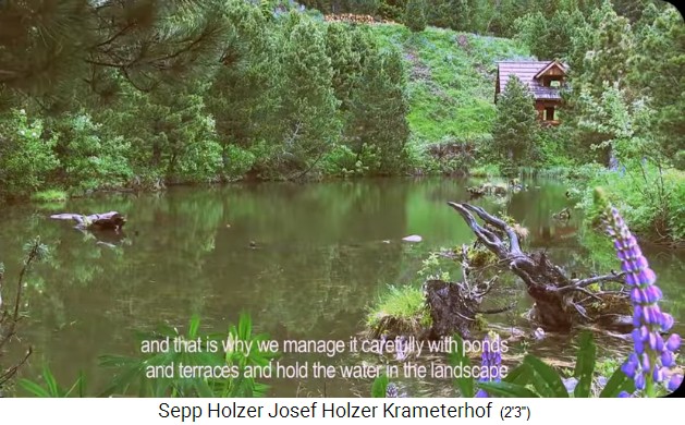 Krameterhof: Der oberste Teich
                    mit dem obersten Haus