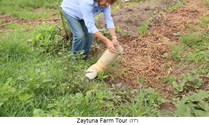 Zaytuna Farm, movable spillover 02