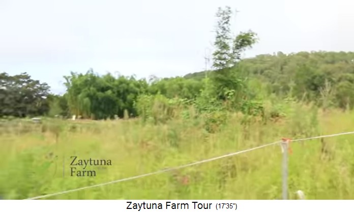 Zaytuna-Farm (Australien), meadows and
                    forest 02