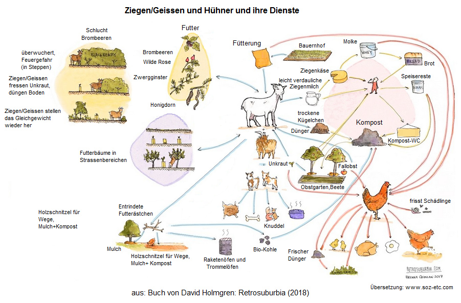 David Holmgreen,
                              Buch Retrosuburbia 2018: Ziegen / Geissen
                              und Hühner und ihre Dienste, Grafik