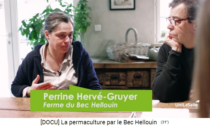 Perrine Hervé-Gruyer