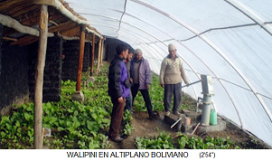 Walipini, halb
                            versenktes Treibhaus an Bschung mit
                            transparenten Plastikplanen zur Sonnenseite
