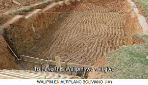 Walipini im Bau, die
                            Grube mit den Wnden, Bolivien