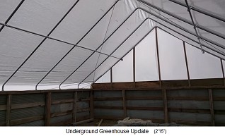 Simple Ground, das
                                Grubengewchshaus, die Dachkonstruktion
